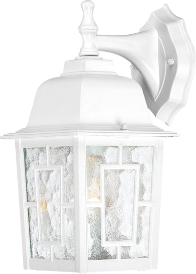 Nuvo Lighting 60/4921 Banyan 1 Light 12 Inch Outdoor Wall Mount Sconce with Clear Water Glass