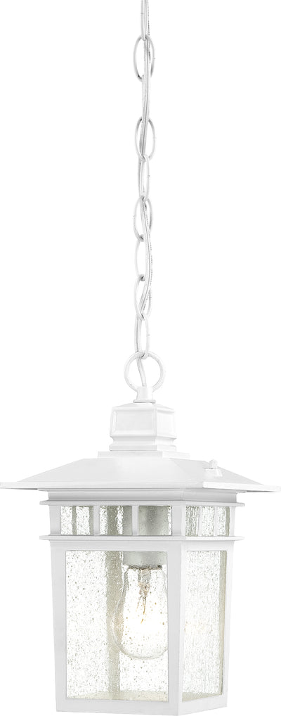 Nuvo Lighting 60/4954 Cove Neck 1 Light 12 Inch Outdoor Hang with Clear Seed Glass