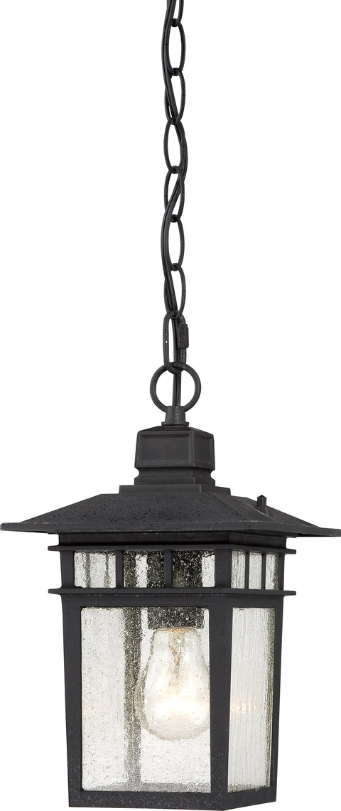 Nuvo Lighting 60/4956 Cove Neck 1 Light 12 Inch Outdoor Hang with Clear Seed Glass